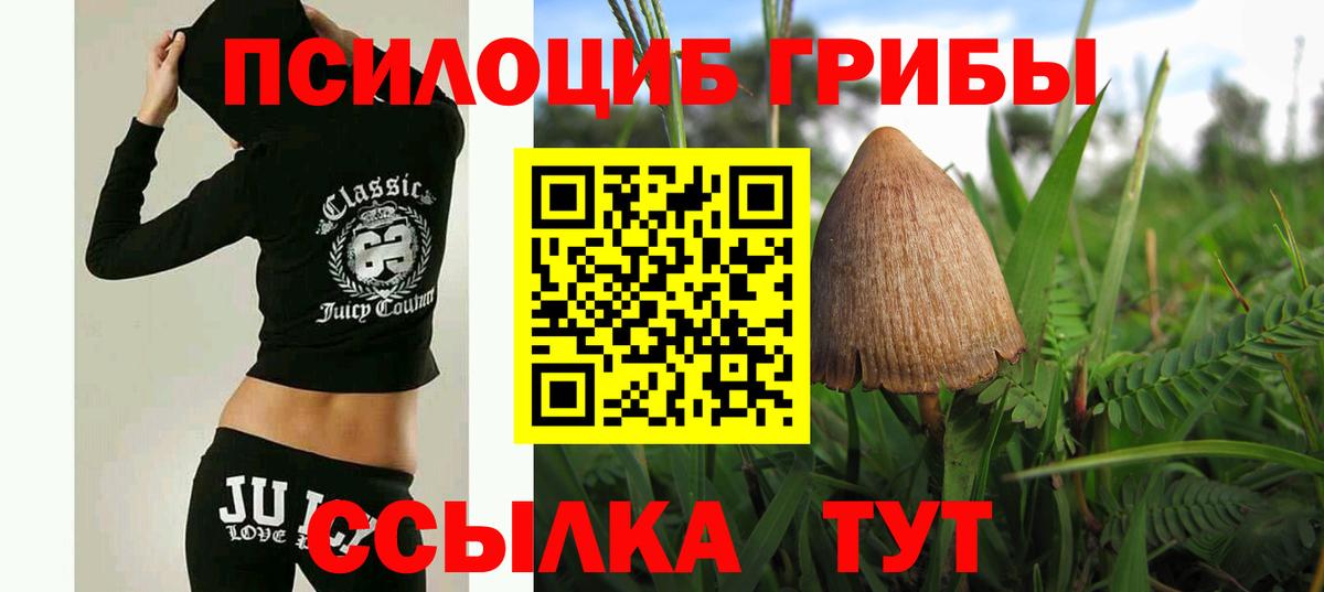 Псилоцибиновые грибы MAGIC MUSHROOMS  Вход с VPN  Добрянка  Псилоцибиновые грибы мицелий 