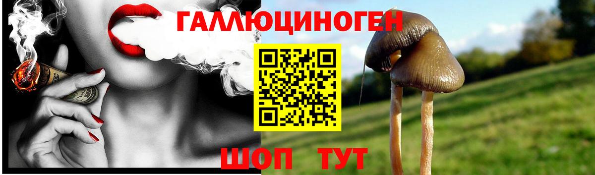 Псилоцибиновые грибы мицелий Добрянка